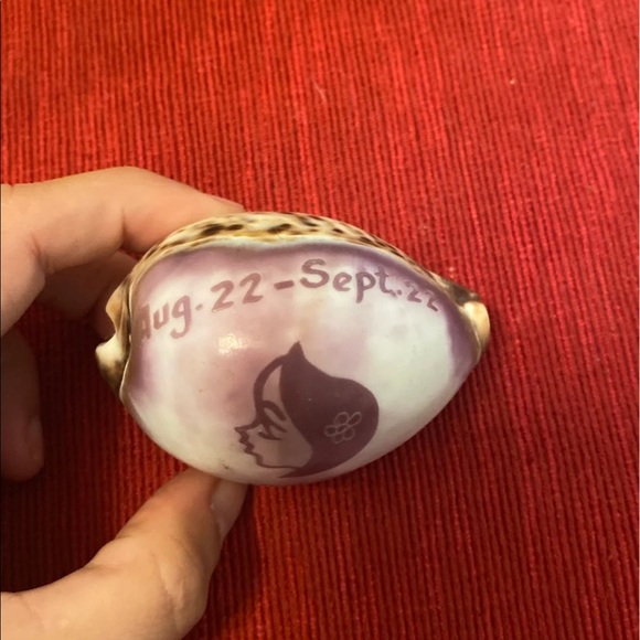 Virgo decorative beach shell - Picture 3 of 4